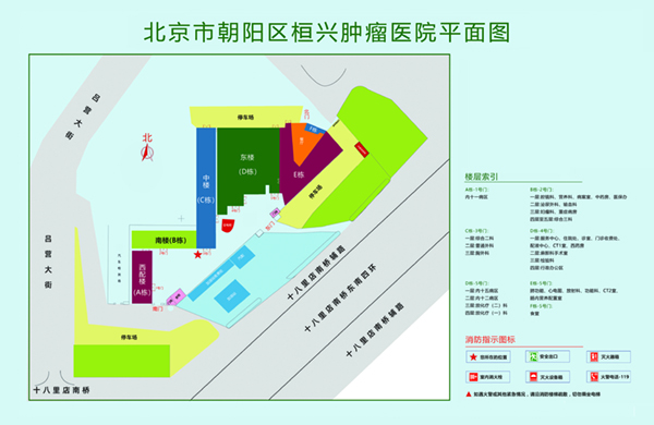 阴痉插入阴道网站XXX北京市朝阳区桓兴肿瘤医院平面图